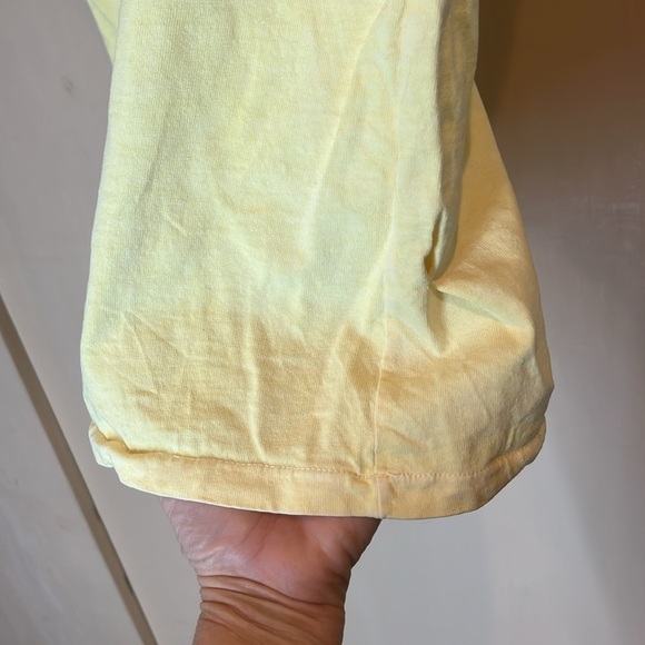 Fresh Produce Yellow Top fish from Kauai size small preowned - Picture 4 of 5